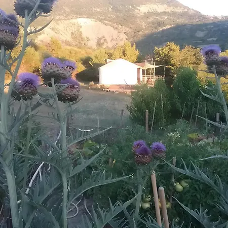 La Yourte Des Abeilles Kemping
